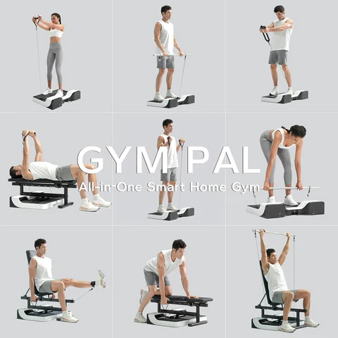 Gym Pal – The Best Gym Equipment for Your Home and Offices